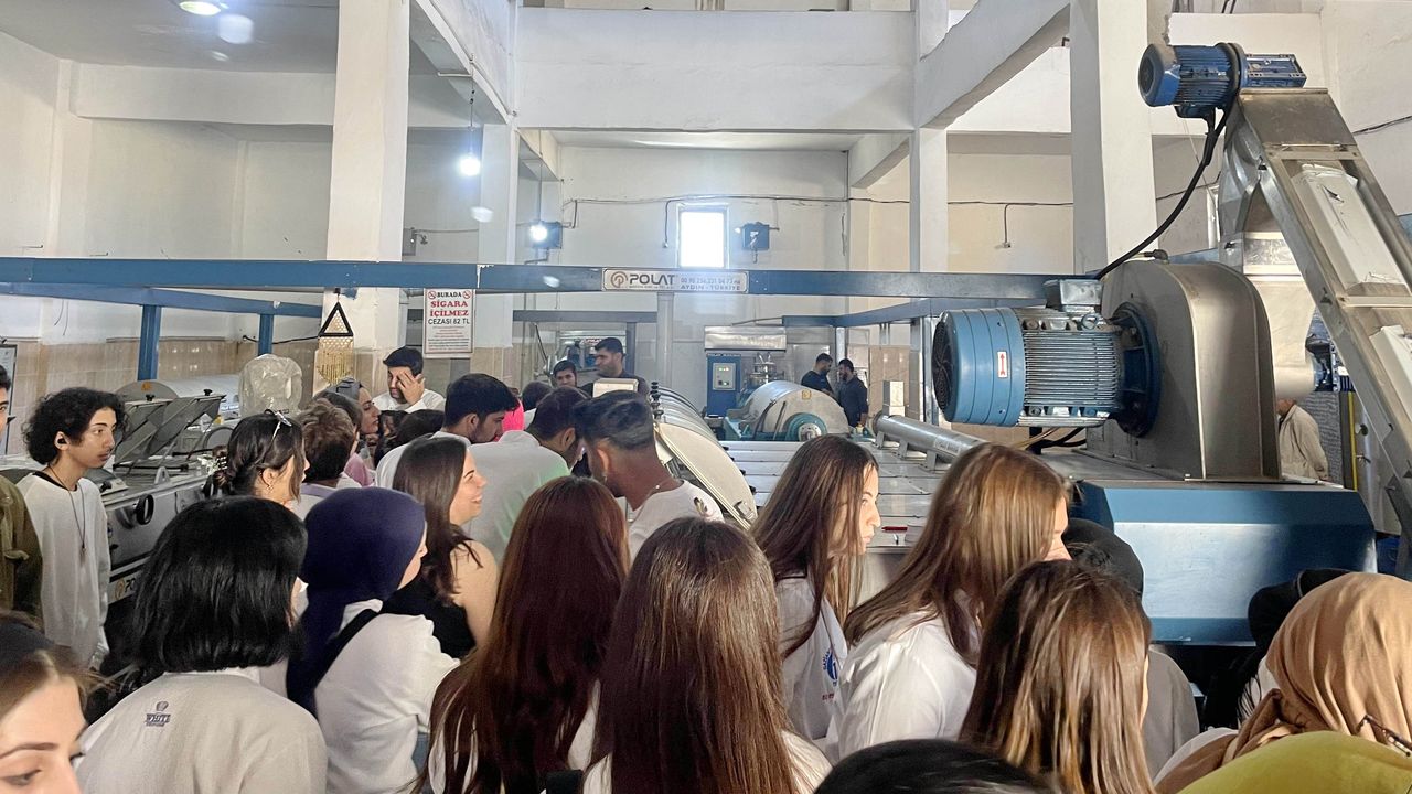 GAÜN öğrencilerinden zeytinyağı fabrikasına ziyaret