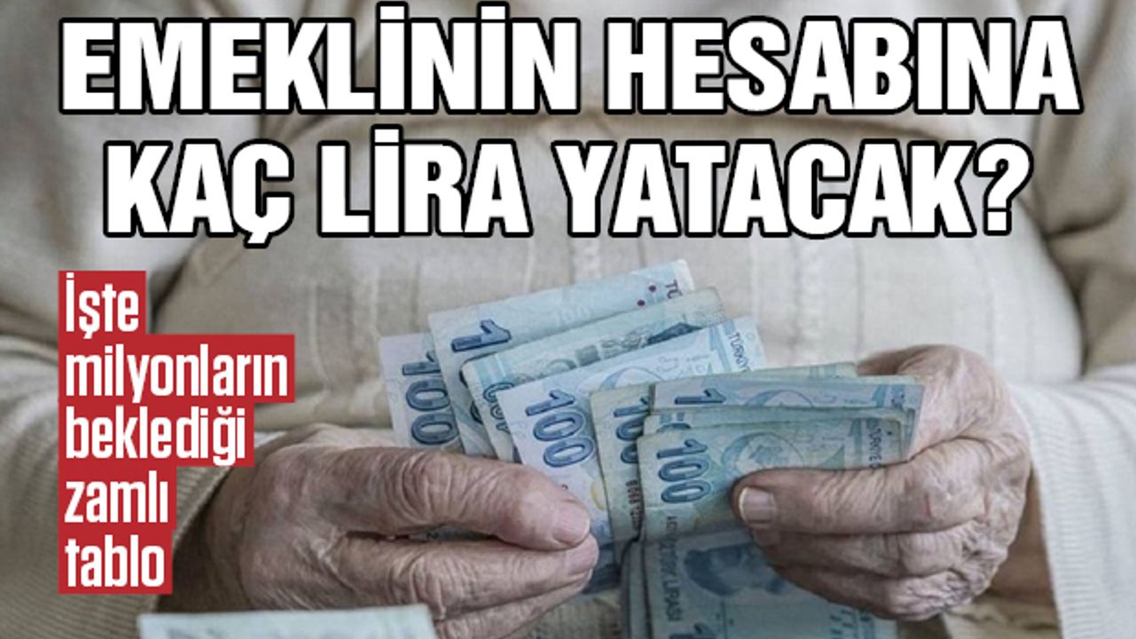 Emeklinin Hesabına Kaç Lira Yatacak?