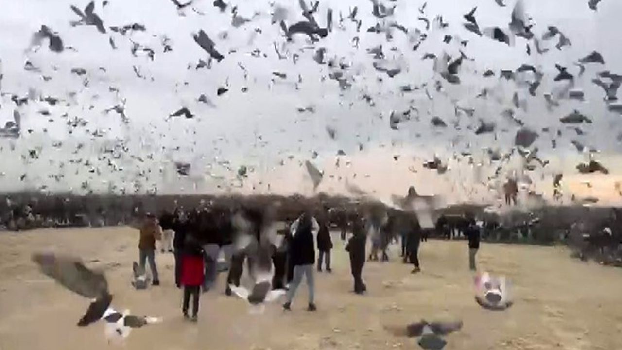 Gazze'de özgürlüğü alınan çocuklar için güvercinler özgürlüğe uçtu