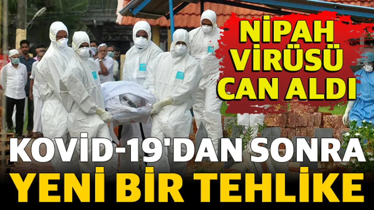Kovid-19'dan sonra yeni bir tehlike: Nipah virüsü can aldı