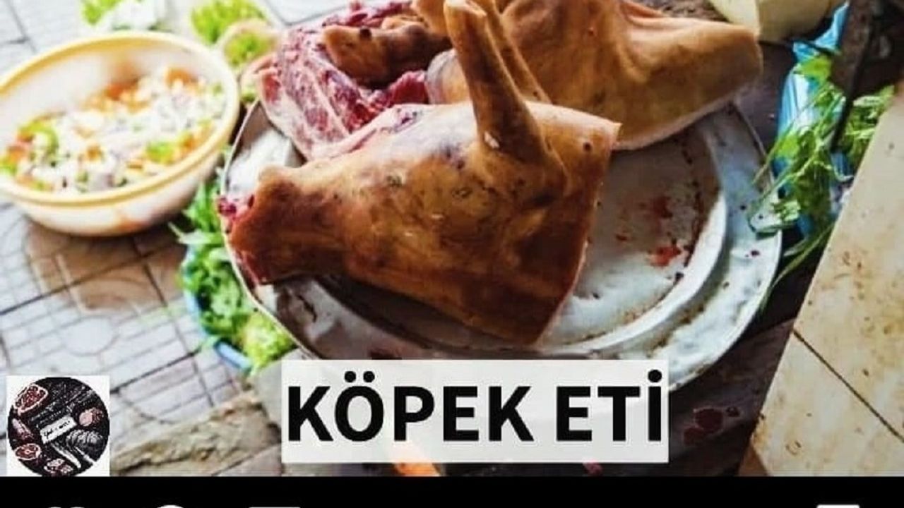 Sosyal Medyada Köpek Eti Skandalı! Gerçek ise şaşırttı!