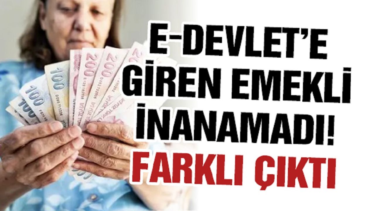 E-Devlet’e Giren Emekli İnanamadı! Farklı Çıktı