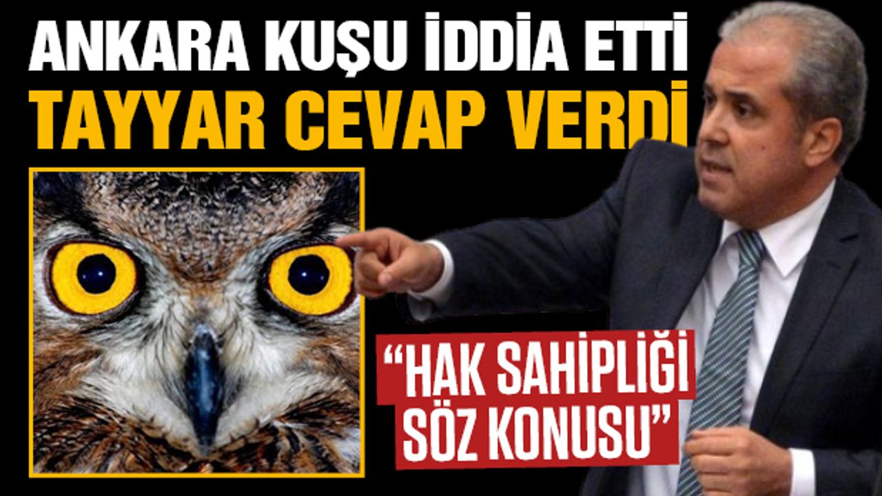 Ankara Kuşu İddia Etti, Tayyar Cevap Verdi!