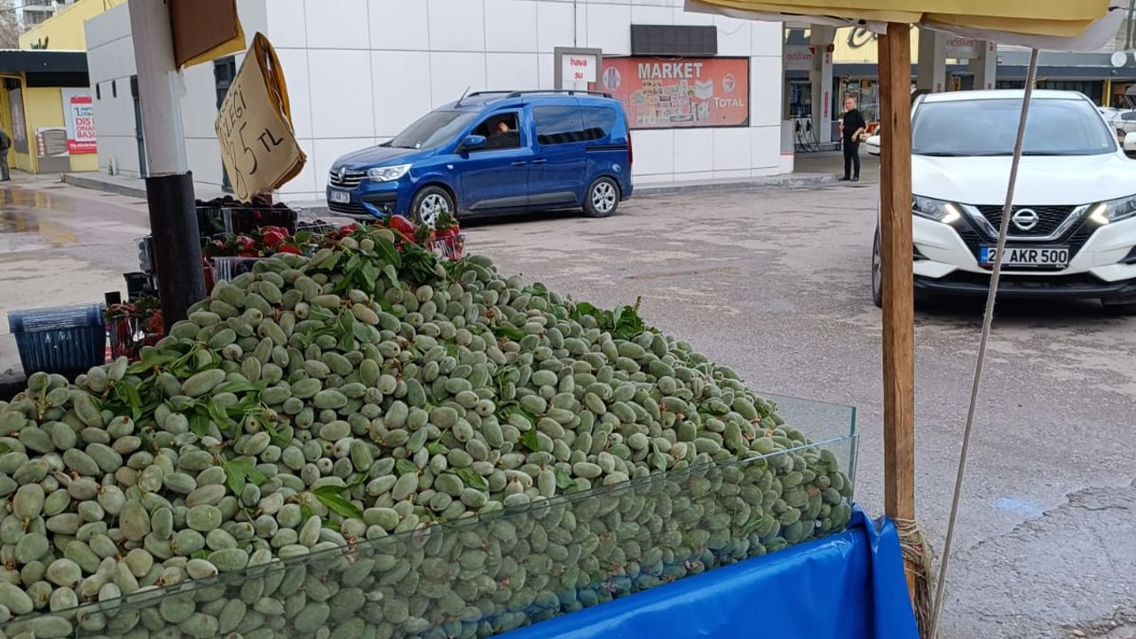 Gaziantep’te Çağla Tezgâhlarda Yerini aldı! Fiyatı Dudak Uçuklattı!