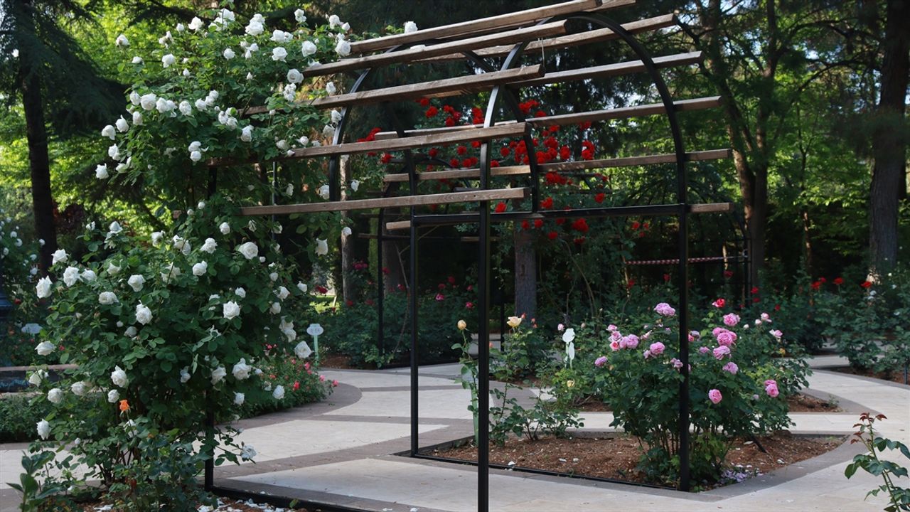 Gaziantep Botanik Bahçesi'nde İlkbahar Renkleri Hakim Oldu!