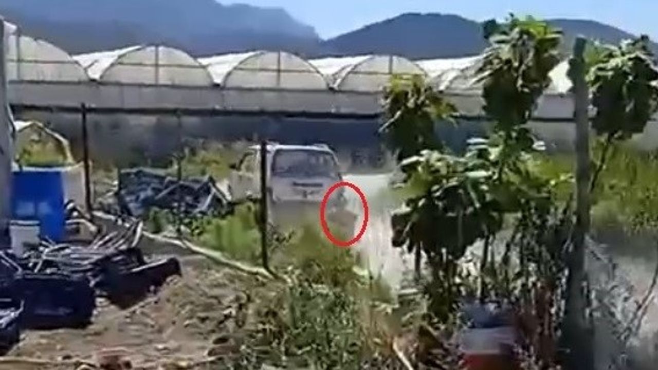 Köpeğine zarar veren adamı otomobile bağlayıp 150 metre sürükledi