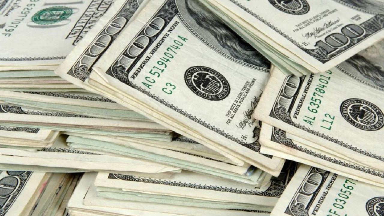 Dolar 100 lira olacak: Uzman isim uyardı
