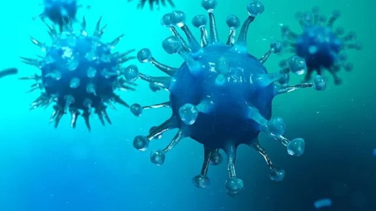 Uzmanlardan mikrop uyarısı! Her evde var! Aman dikkat