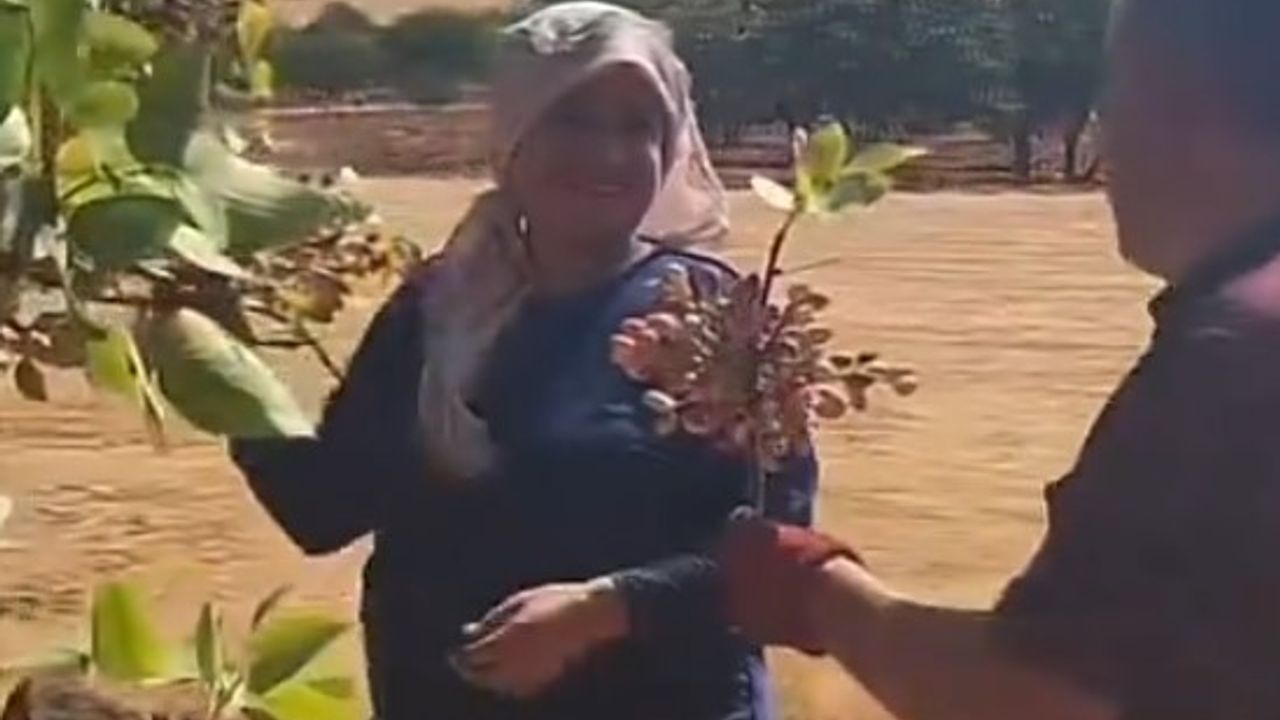 Gaziantep’te fıstık hasadında aşk! Eşine boz fıstık buketi hediye etti