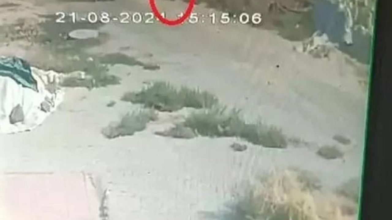 Kayıp Narin hakkında şok iddia
