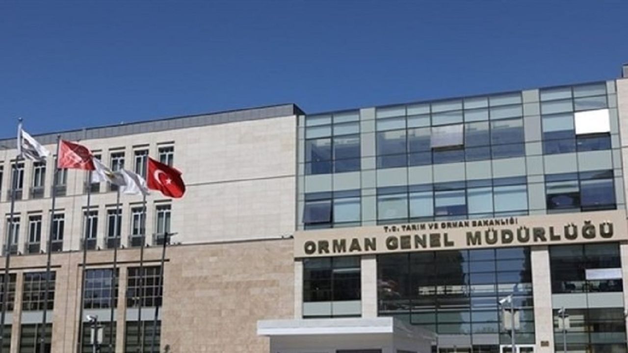 Orman Genel Müdürlüğü'ne 252 daimi işçi alınacak