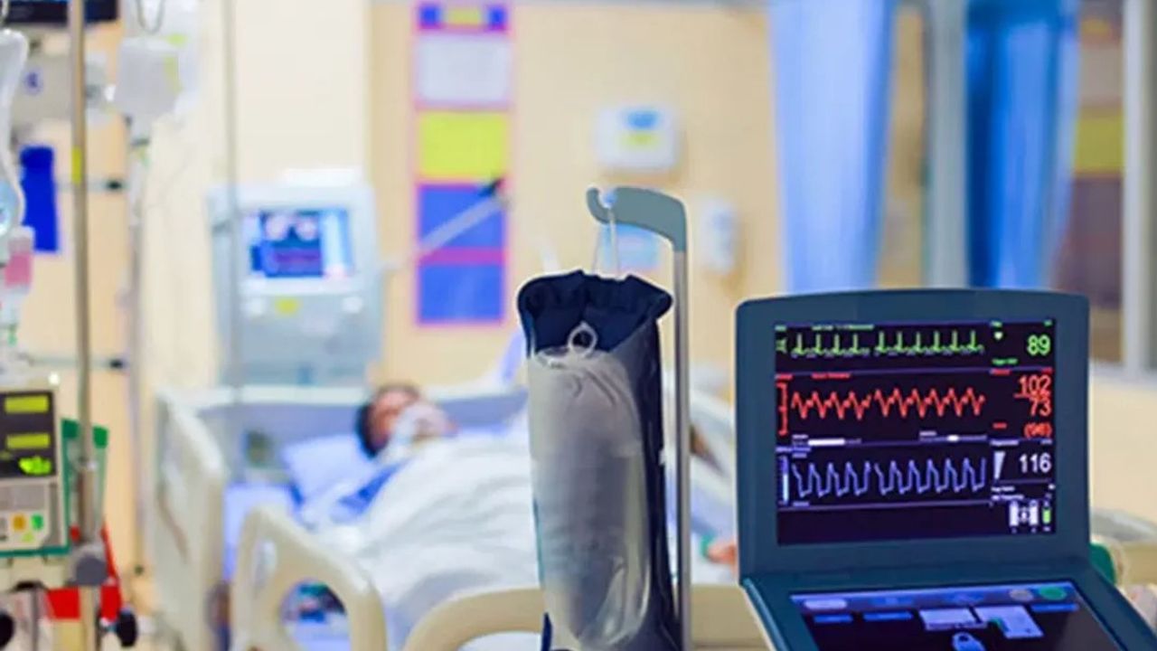 Bolu’da görüldü! Deli dana hastalığı nedir, belirtileri neler, nasıl bulaşır?