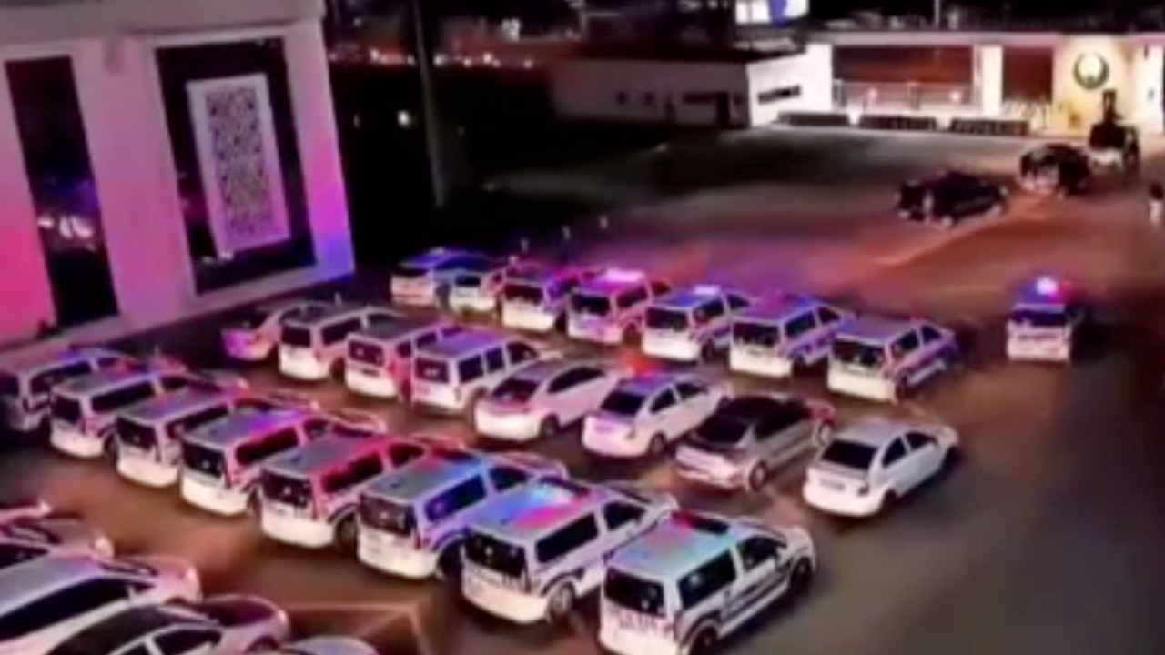 Define çetesi çökertildi: Çok sayıda tutuklama