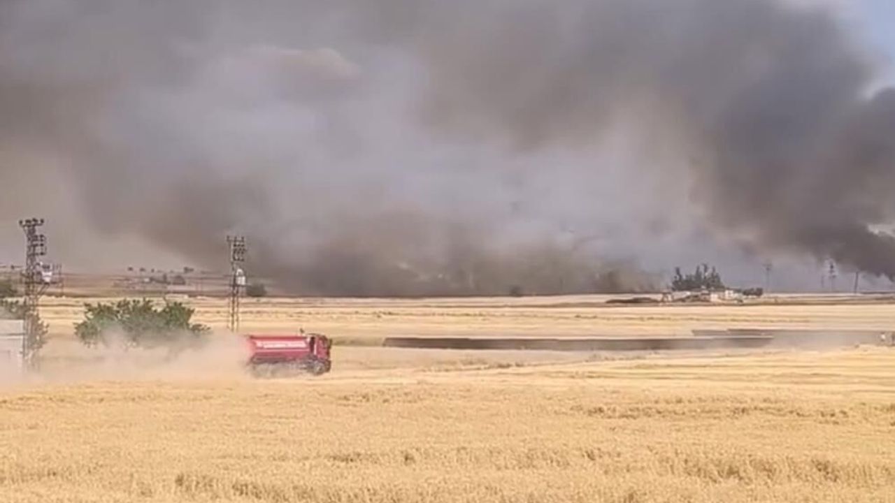 Şanlıurfa'da yüzlerce dönümlük ekili arazi yandı