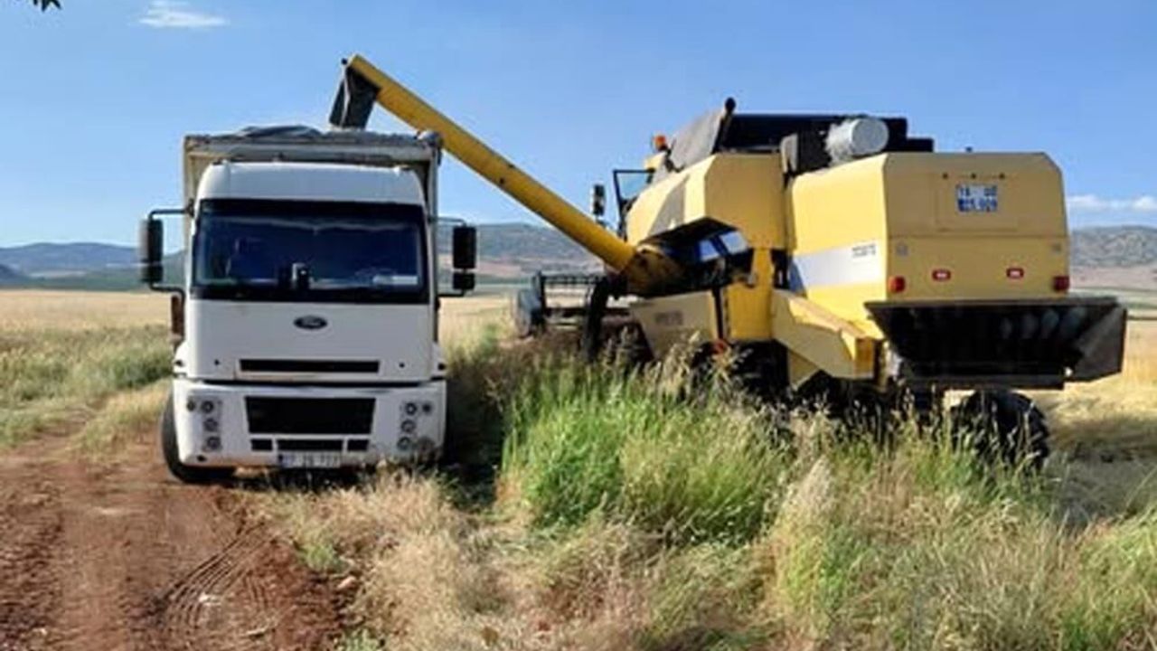 Gaziantep’te ilk arpa hasadı yapıldı! Kilosu 12,50 TL den sa