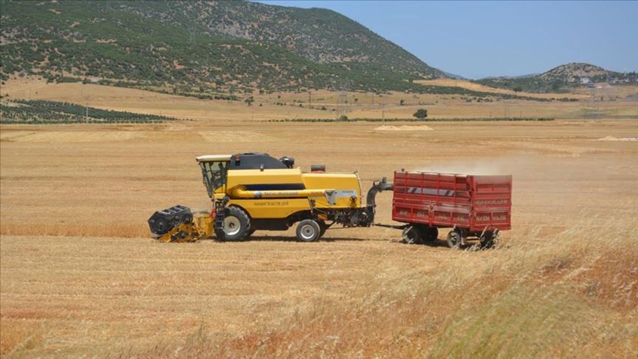 Gaziantep'te yılın ilk buğday hasadı yapıldı