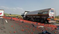 Gaziantep’te domates yüklü tır devrildi: Yol domates tarlasına döndü