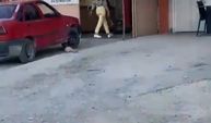 Çekiçli kadın öfkesini böyle kustu! (VİDEO HABER)