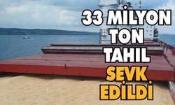 Tahıl anlaşması kapsamında 33 milyon ton tahıl sevk edildi