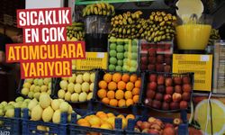 Sıcaklık en çok atomculara yarıyor