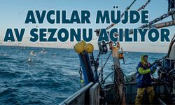 Av sezonu ne zaman açılıyor? 2023-2024 av sezonu açılış tarihi