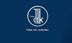 Bir şey TDK yazılışı... Bir şey nasıl yazılır, birleşik mi, ayrı mı?
