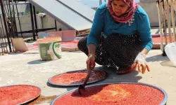 Antep Salçası da haram oldu! Salçalık biber, domates fiyatları ne kadar?