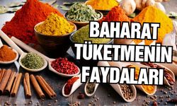 Baharat Tüketmenin Faydaları