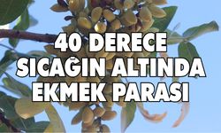 40 derece sıcağın altında ekmek parası 