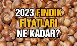 2023 Fındık Fiyatları Ne Kadar?