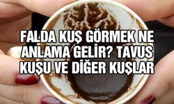 Falda kuş görmek ne anlama gelir? Tavus kuşu ve diğer kuşlar