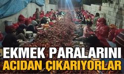 Ekmek paralarını acıdan çıkarıyorlar
