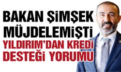 Yıldırım’dan kredi desteği yorumu