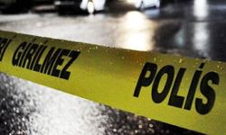 Torun dehşeti: Babaannesi ve halasının boğazını kesti