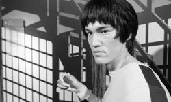 Bruce Lee kimdir? Bruce Lee nerelidir?