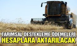 Çiftçilere müjde! Tarımsal Destekleme Ödemeleri bugün hesaplarına aktarılıyor