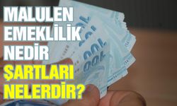 Malulen emeklilik nedir? Şartları nelerdir? Hangi hastalıkları kapsıyor?