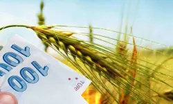 Bakan Yumaklı duyurdu… Tarımsal destekleme ödemesi bugün yapılacak