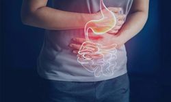 Gastroenteroloji Nedir? Hangi Hastalıkları Kapsar?