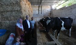 Şahinbey'in destekleri ile hayvancılık gelişiyor