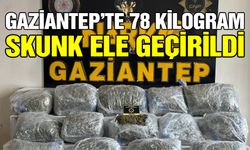 Gaziantep'te 78 kilogram skunk ele geçirildi: 1 şahıs tutuklandı