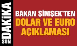 Bakan Şimşek'ten dolar ve euro açıklaması