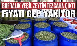 Sofralık yeşil zeytin tezgaha çıktı: Fiyatı cep yakıyor!