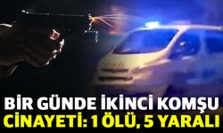 Bir günde ikinci komşu cinayeti: 1 ölü, 5 yaralı