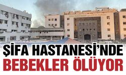 Şifa Hastanesi'nde bebekler ölüyor