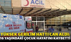 Yüksek Gerilim Hattı Can Aldı: 16 Yaşındaki Çocuk Hayatını Kaybetti