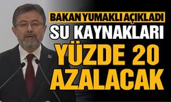 Su kaynaklarının yüzde 20 azalması bekleniyor