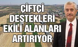 Çiftçi destekleri ekili alanları artırıyor