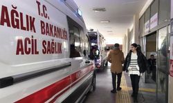 Akrabalar arasında taşlı sopalı kavga: Yaralılar var!