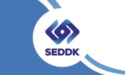 SEDDK duyurdu: 2 sigorta şirketine el konuldu
